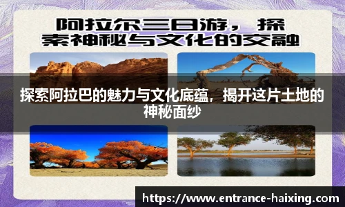 海星体育直播网址